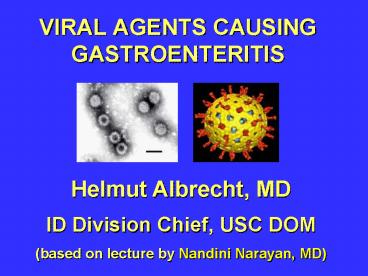 VIRAL AGENTS CAUSING GASTROENTERITIS