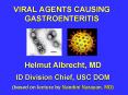 VIRAL AGENTS CAUSING GASTROENTERITIS PowerPoint PPT Presentation