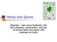 Herbs and Spices PowerPoint PPT Presentation