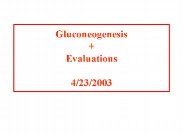 Gluconeogenesis   Evaluations 4/23/2003