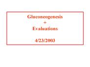 Gluconeogenesis   Evaluations 4/23/2003