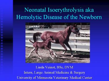 Neonatal Isoerythrolysis aka Hemolytic Disease of the Newborn