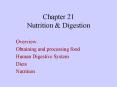 Chapter 21 Nutrition PowerPoint PPT Presentation