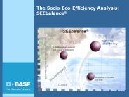 The Socio-Eco-Efficiency Analysis: SEEbalance