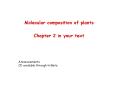 Molecular composition of plants PowerPoint PPT Presentation