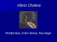 Vibrio Cholera PowerPoint PPT Presentation