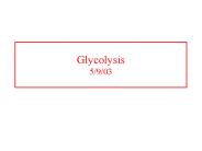 Glycolysis 5/9/03