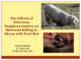 The Effects of Selenium Supplementation on Bacterial Killing in Sheep with FootRot PowerPoint PPT Presentation