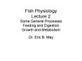 Fish Physiology Lecture 2 Some General Processes Feeding and Digestion Growth and Metabolism PowerPoint PPT Presentation