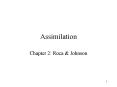 Assimilation PowerPoint PPT Presentation