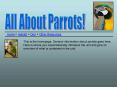 All About Parrots PowerPoint PPT Presentation