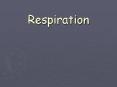 Respiration PowerPoint PPT Presentation