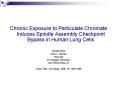 Chronic Exposure to Particulate Chromate Induces Spindle Assembly Checkpoint Bypass in Human Lung Cells PowerPoint PPT Presentation