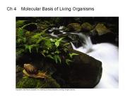 Ch 4  Molecular Basis of Living Organisms