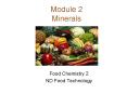 Module 2 Minerals PowerPoint PPT Presentation