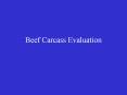 Beef Carcass Evaluation PowerPoint PPT Presentation