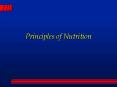 Principles of Nutrition PowerPoint PPT Presentation