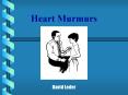 Heart Murmurs PowerPoint PPT Presentation