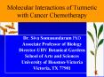 Molecular Interactions of Turmeric with Cancer Chemotherapy PowerPoint PPT Presentation