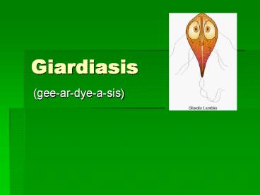 Giardiasis