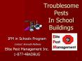 Troublesome Pests In School Buildings PowerPoint PPT Presentation