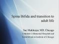 Spina Bifida and transition to adult life PowerPoint PPT Presentation