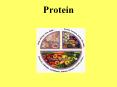Protein PowerPoint PPT Presentation