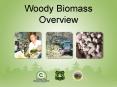 Woody Biomass Overview PowerPoint PPT Presentation