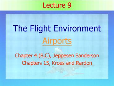 The Flight Environment