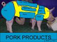 HAM PowerPoint PPT Presentation