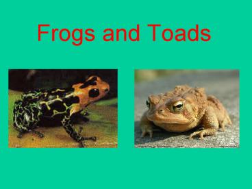 Frogs and Toads