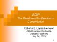 AOP The Road from Proliferation to Consolidation PowerPoint PPT Presentation