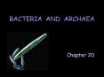BACTERIA AND ARCHAEA PowerPoint PPT Presentation