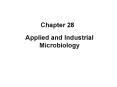 Applied and Industrial Microbiology PowerPoint PPT Presentation