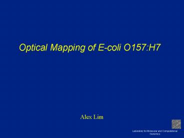 Optical Mapping of Ecoli O157:H7