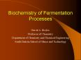 Biochemistry of Fermentation Processes PowerPoint PPT Presentation