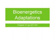 Bioenergetics Adaptations