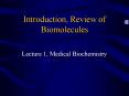 Introduction, Review of Biomolecules PowerPoint PPT Presentation