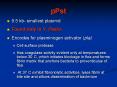 pPst PowerPoint PPT Presentation