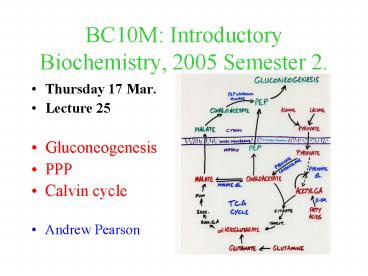 BC10M: Introductory Biochemistry, 2005 Semester 2'