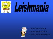 Leishmania major