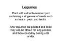 Legumes PowerPoint PPT Presentation