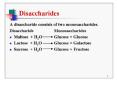 Disaccharides PowerPoint PPT Presentation
