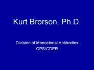 Kurt Brorson, Ph.D.