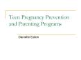 Teen Pregnancy Prevention and Parenting Programs PowerPoint PPT Presentation
