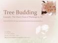Tree Budding Example: The Cherry Trees of Washington, DC Images and information from http:nationalch PowerPoint PPT Presentation