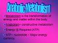 Metabolism is the transformation of energy and matter within the body' PowerPoint PPT Presentation