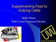 Supplementing Feed to Grazing Cattle PowerPoint PPT Presentation