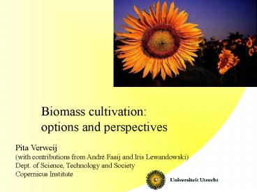 Biomass cultivation: options and perspectives