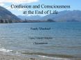 Confusion and Consciousness at the End of Life Sandy Macleod Nurse Maude Hospice Christchurch PowerPoint PPT Presentation